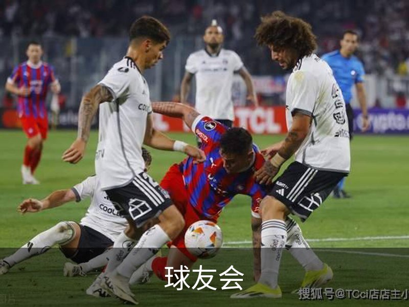 球友会概况